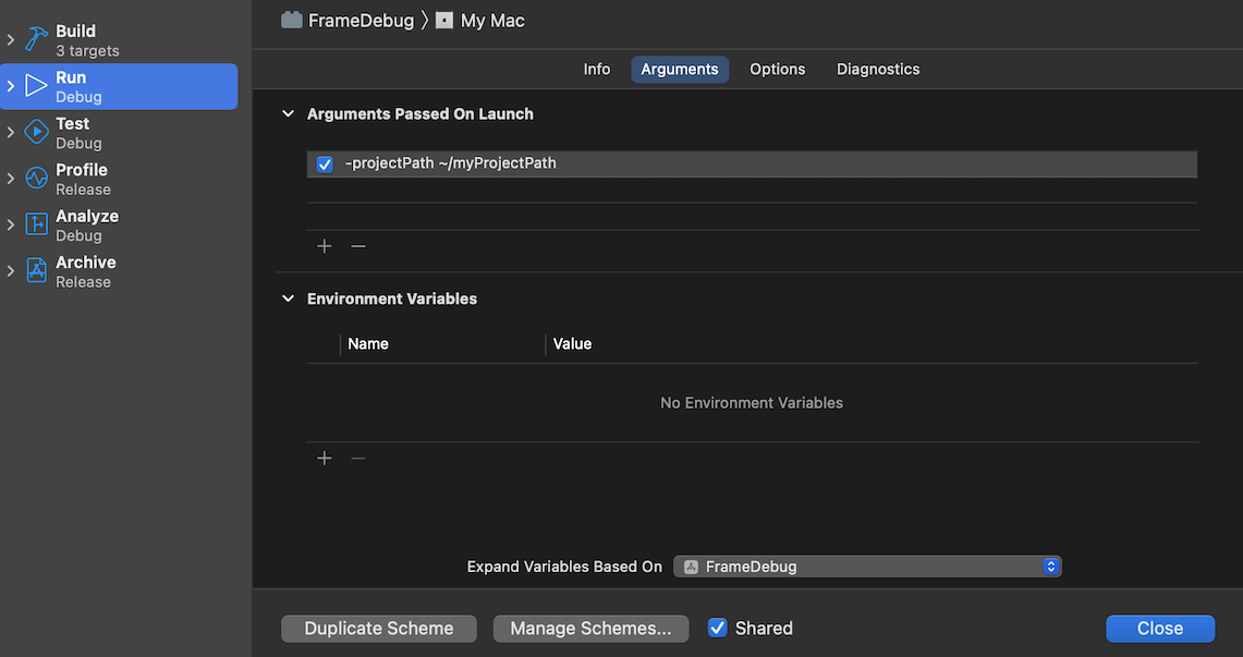 Окно FrameDebug, отображающее путь к проекту