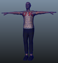 Skin Mesh, текстурированная и триангуляционная